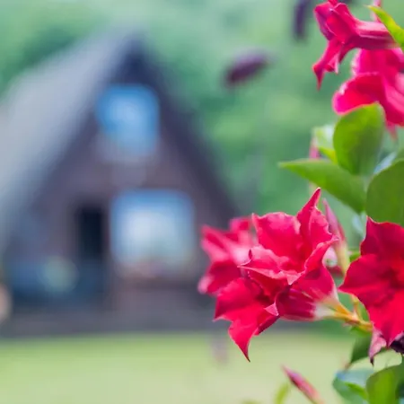 Uriges Tinyhouse Nahe Der Ostsee Wangels