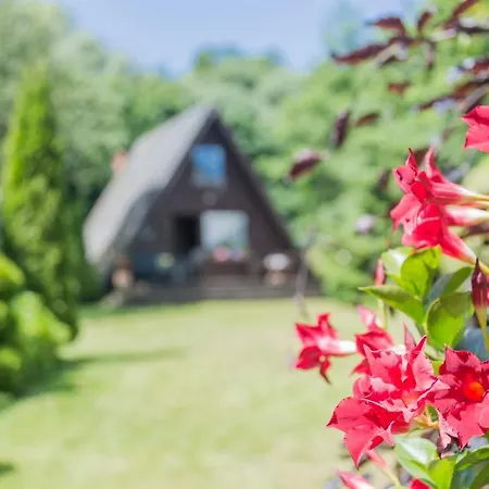 Uriges Tinyhouse Nahe Der Ostsee *